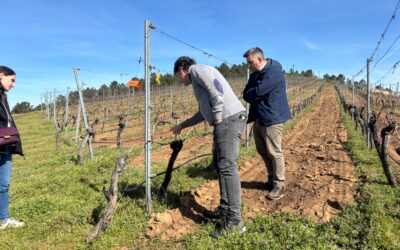 PROYECTO CIVITAS